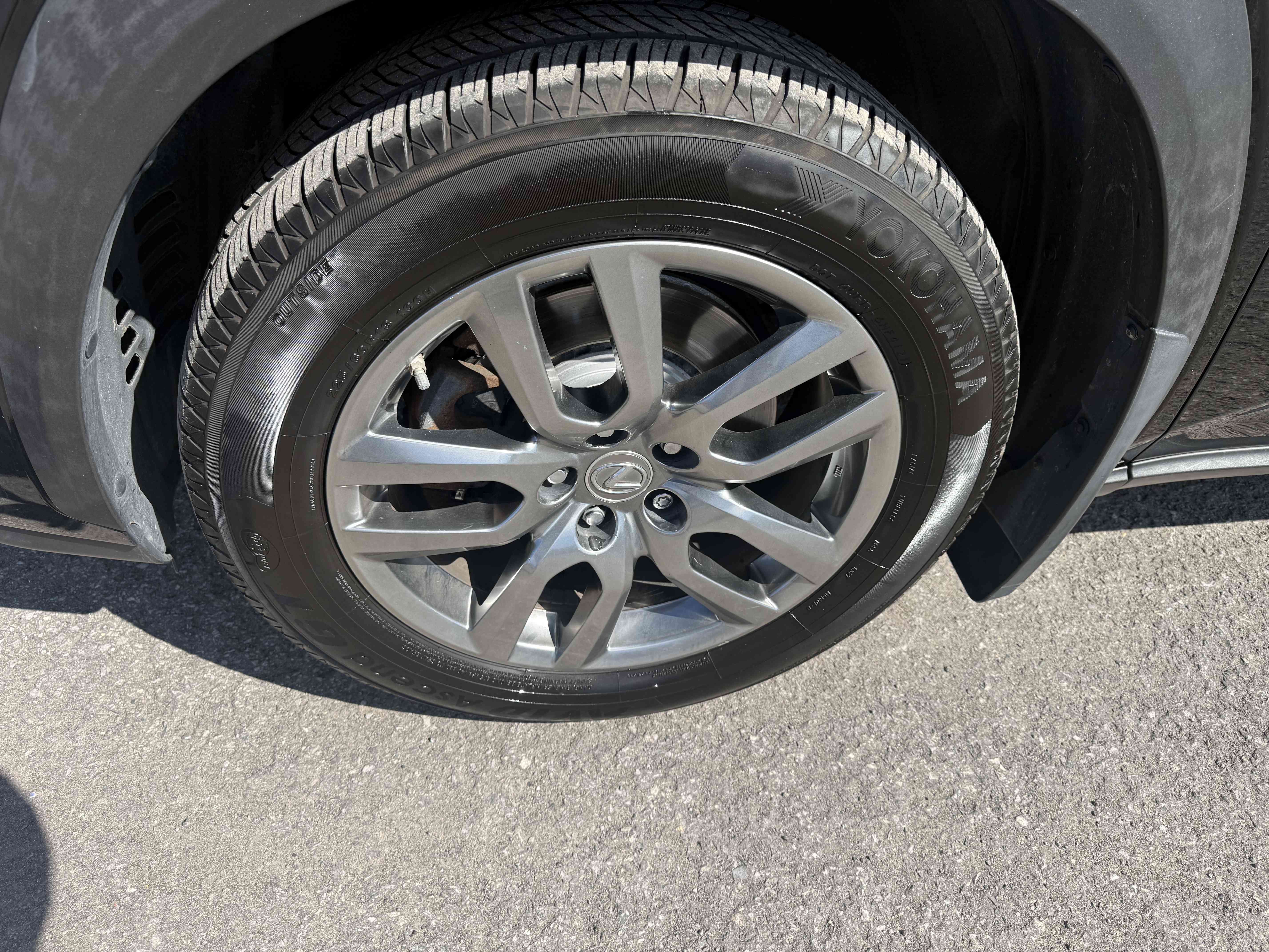 Image 8