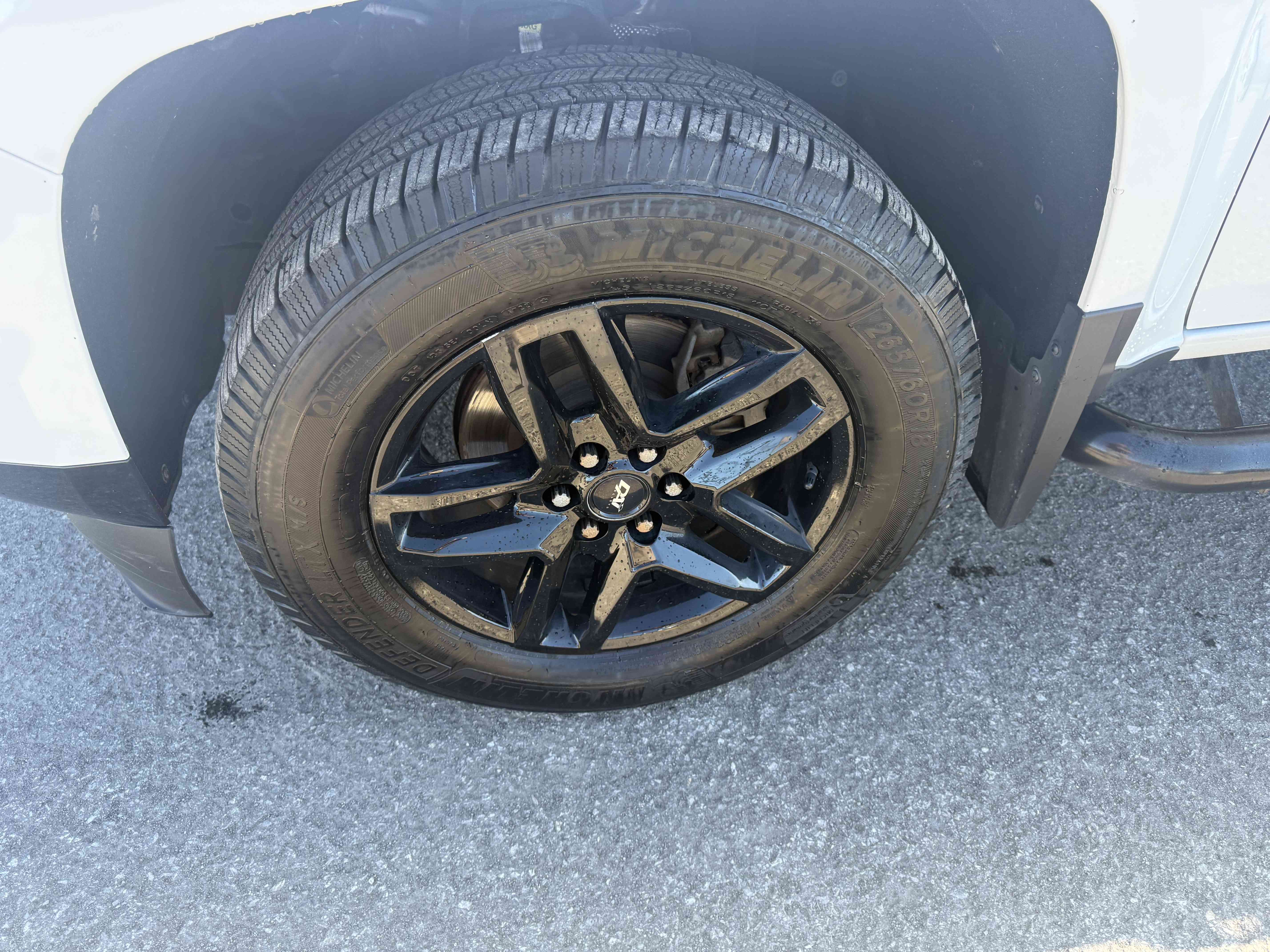 Image 8