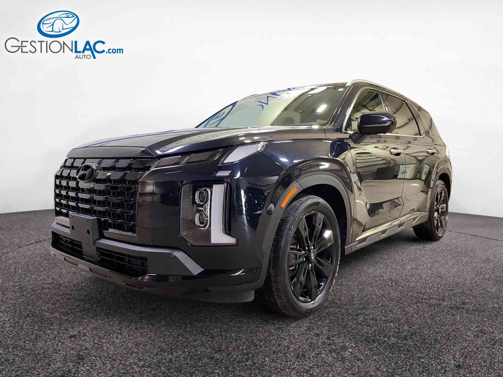 Black 2023 Hyundai Palisade SUV / Crossover  Automatic
