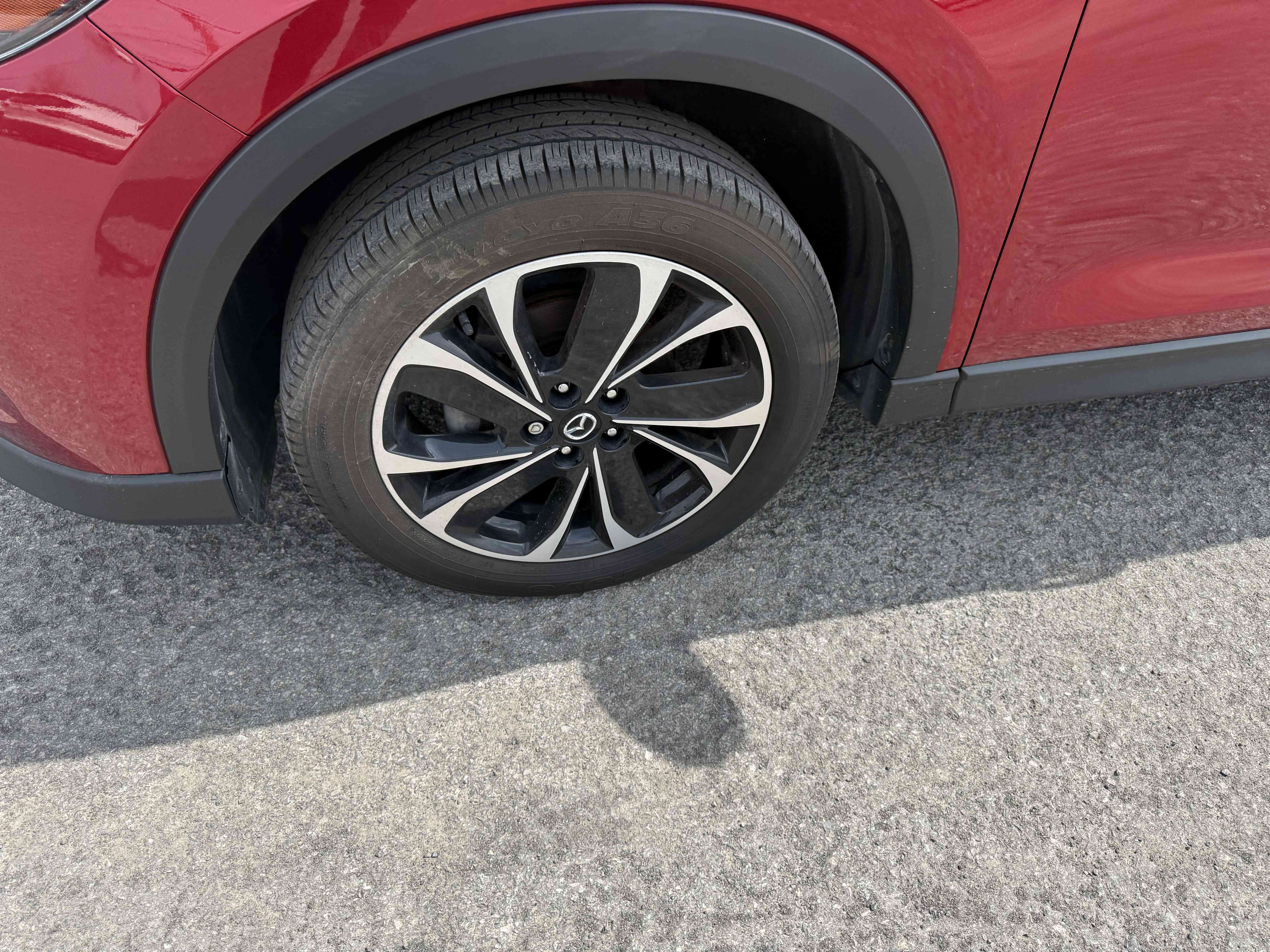 Image 8
